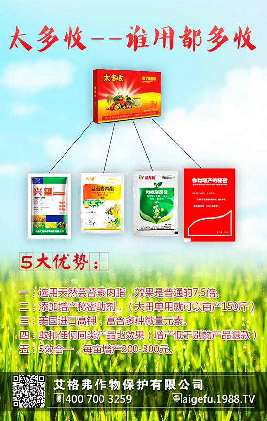 龍眼的種植要求有哪些？龍眼的種植要點(diǎn)！