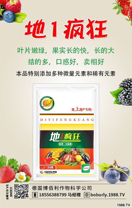 花椒落花落果是什么原因？花椒保花保果措施！