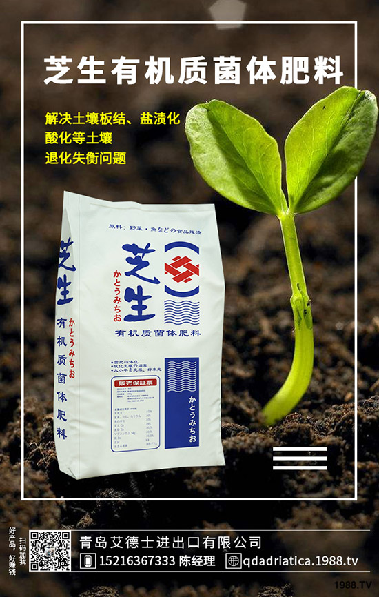 ��������Щ�I(y��ng)�B(y��ng)�r(ji��)ֵ�����ҵĹ�Ч�c������ʲô������xُ(g��u)��