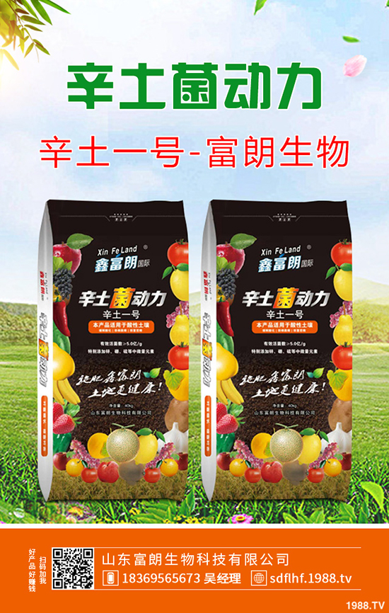     2020鉀肥市場(chǎng)行情需求緩慢！氯化鉀價(jià)格小幅下跌！