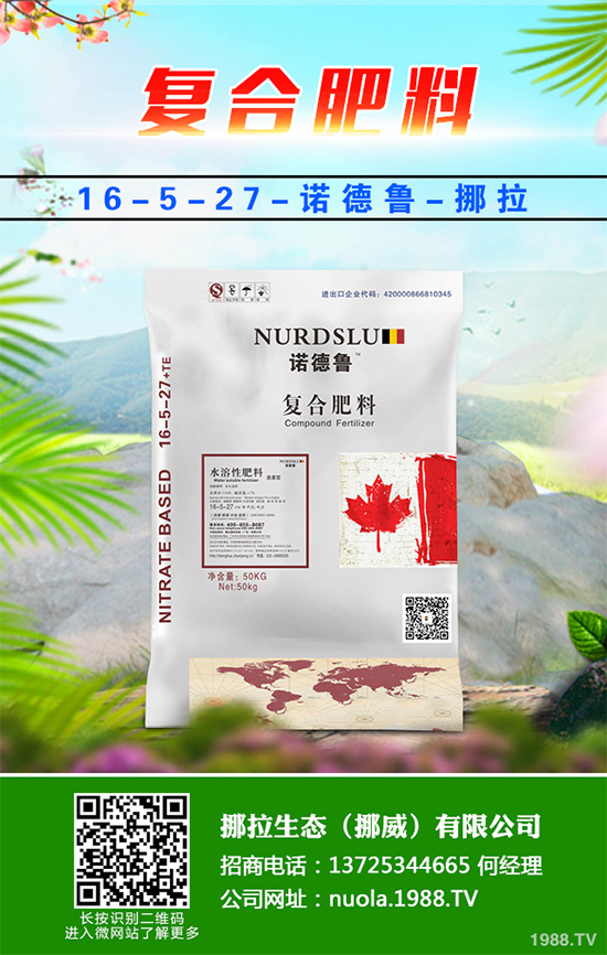 �Nֲʲôˮ����(hu��)ٍ�X(qi��n)��2020��ˮ���Nֲָ��