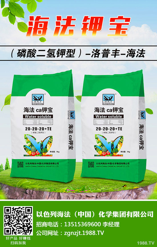 �������ö�������޼�����䶬���޼��ĕr�g��������