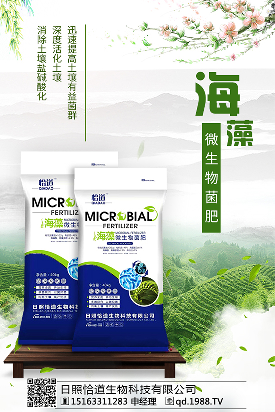     ��������Щ�I(y��ng)�B(y��ng)�r(ji��)ֵ����������ʲô��̎��