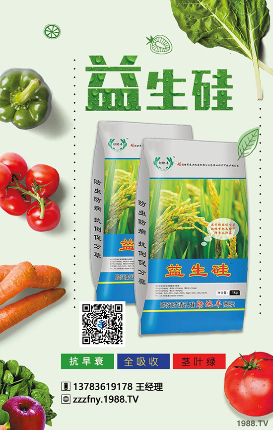 菜椒想高產(chǎn)，應(yīng)在菜椒幼苗期與掛果期科學(xué)施肥！