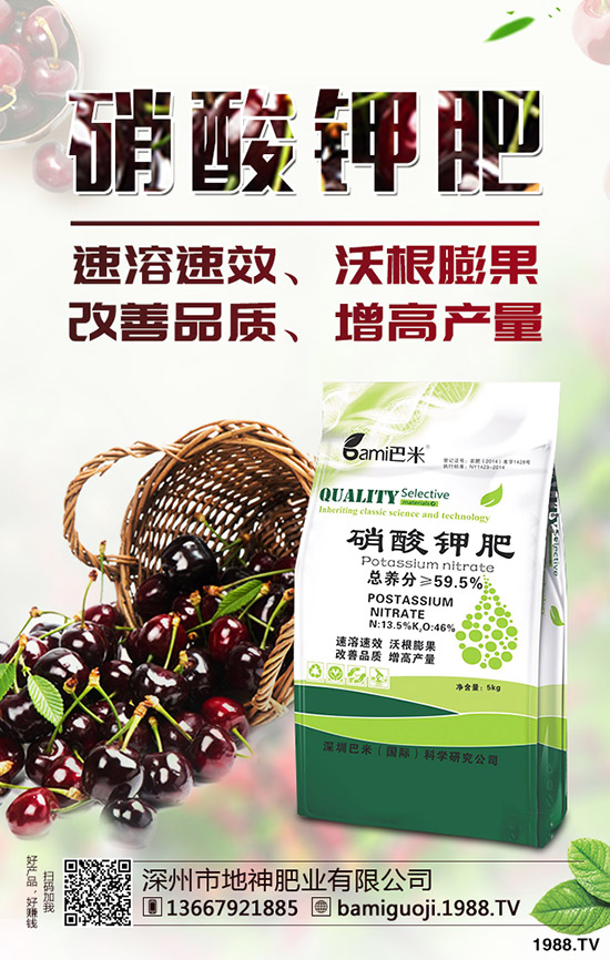 �t������r(sh��)�g��ʲô�r(sh��)�����t�����緽������Щ��