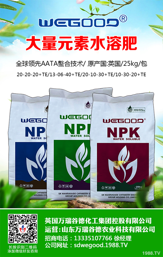 ¶������ʲô�r(sh��)��Nֲ��¶�������߮a(ch��n)�Nֲ���g(sh��)