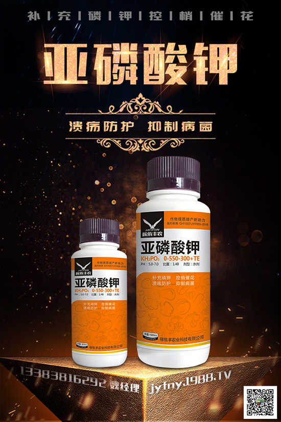 2020�N�ڷ���ٍ�X�᣿�ڷ��ѵķNֲ��������Щ��