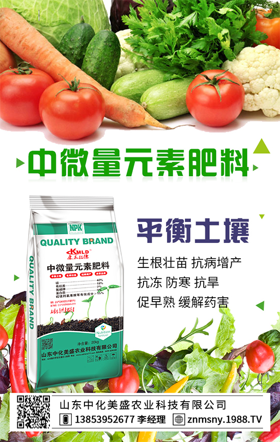 ������ݮ��ô����������ݮ������ʩ��