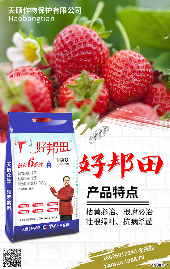 冬季南瓜該如何種植？反季南瓜大棚種植技術(shù)