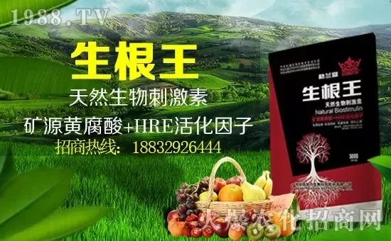 小麥漲價！個別報價超過2500元/噸！