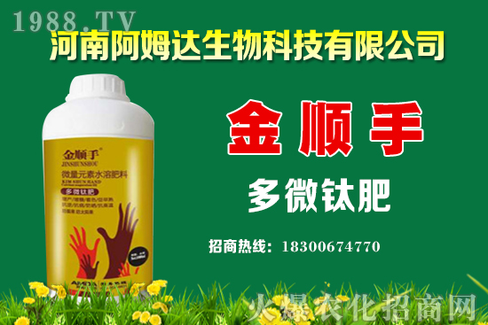 空心菜種植要點有哪些？空心菜又該怎么留種？