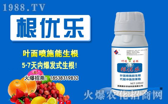 2020年10月10日花生價格行情綜述分析