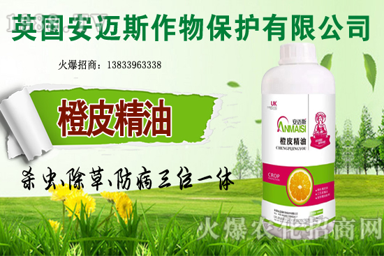 10月種植哪些蔬菜更合適？田間管理要重點抓好哪幾點？