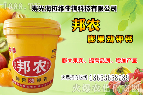 柑橘采收注意哪些事項？柑橘采收后如何進行果園管理？