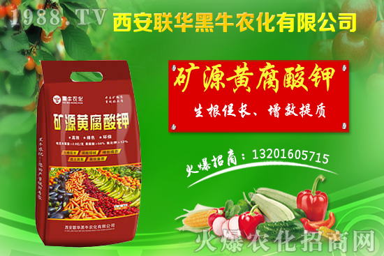 秋季果樹該如何管理？秋季果樹管理應(yīng)避免的四大誤區(qū)！