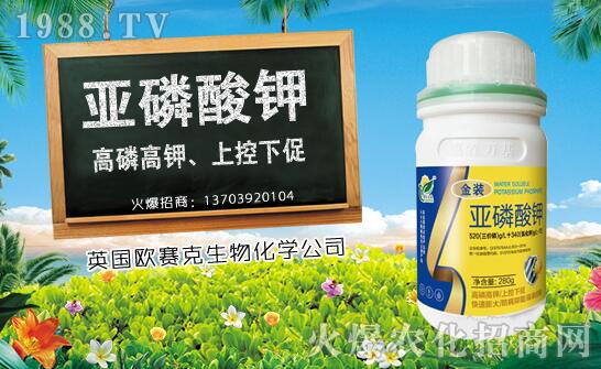 ľ��ʲô�r��Nֲ��ľ�ϷNֲ�r�g���Nֲ���g(sh��)Ҫ�c��