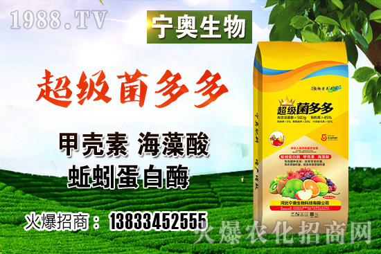 彩色花椰菜多少錢一斤？彩色花椰菜種植效益如何？怎樣種植？