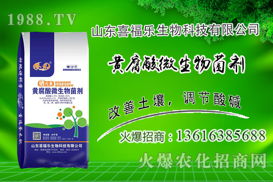 �����r��(w��n)��ƫ����2020��10��14�ջ����r���������