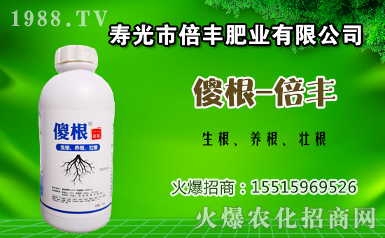 茄子種植該如何施肥？茄子的基肥與追肥方法！