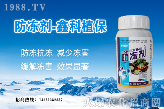 西葫蘆旺長什么原因？西葫蘆如何控旺？西葫蘆旺長補救措施！