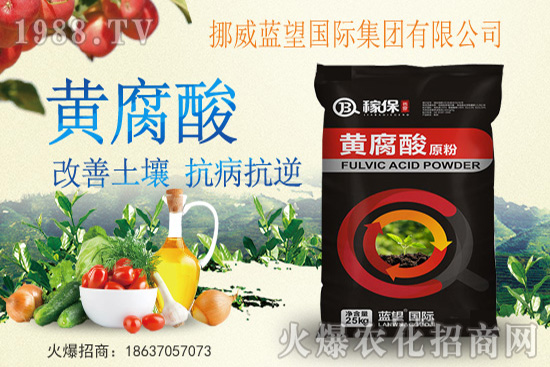 青花菜的采收標(biāo)準(zhǔn)是什么？如何正確采收青花菜？