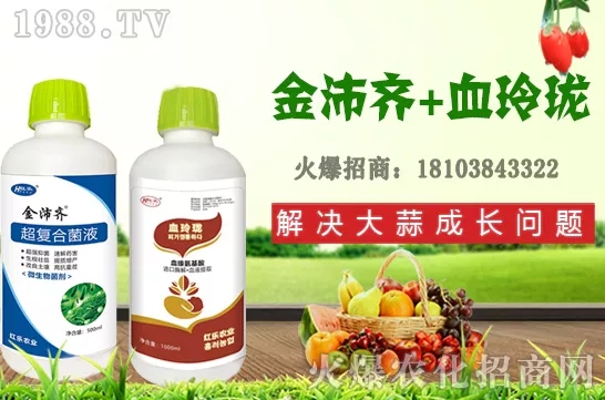     四季石榴生長習(xí)性有哪些，四季石榴栽植技術(shù)及花果期管理！