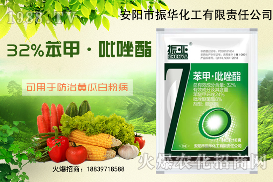 大棚黃瓜白粉病什么藥有用？發(fā)病條件如何避免？