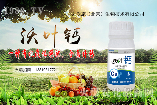 花生還會再漲嗎？2020年10月20日花生價格行情