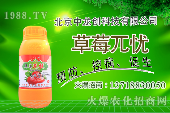 果樹下適合種植什么中藥材？果園里能套種哪些中藥材？