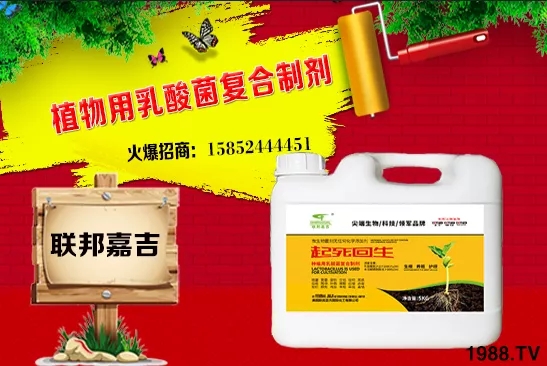 2020年10月20日小麥價格行情預(yù)測及分析 
