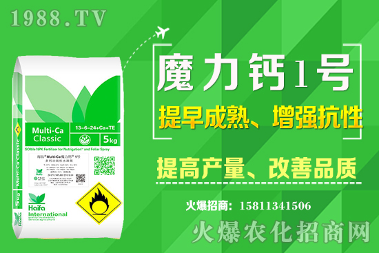 ʮ����Ѯ�m�ϷNֲʲô��ˎ�ģ���Щ��ˎ��ٍ�X�������