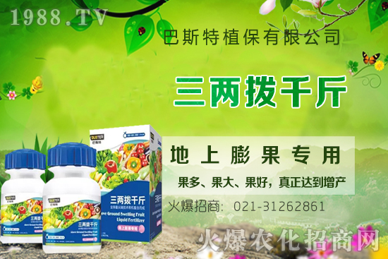 Ӱ�ţϥ��ϵ�����L��������Щ��ţϥ����������ʲô�~�����