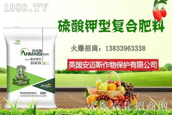 今日花生價格多少錢一斤？10月24日花生價格行情
