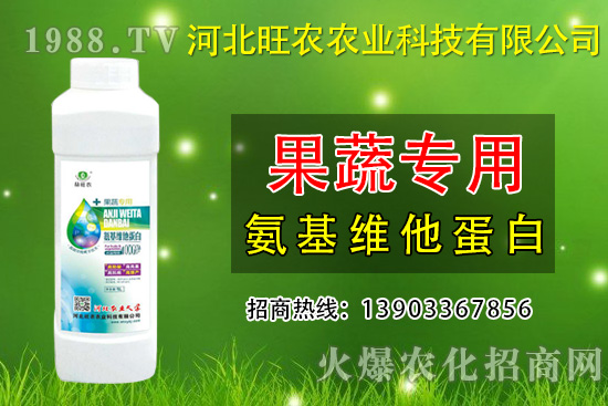 枇杷種植為什么會裂果呢？預防枇杷裂果措施有哪些？