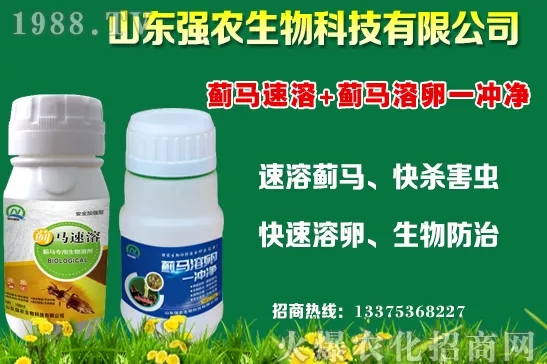 �ﶬ11�·Nֲʲô�߲˱��^���m���߲˷Nֲע����헣�