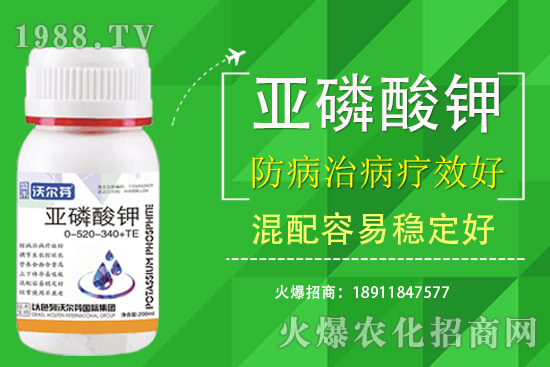 �������Ҫ��������ʲô������֮�g��ʲô�Pע��