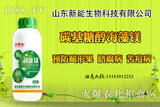 ���������ݮ���ι�ԭ�򣬳��F(xi��n)���ι���ô������