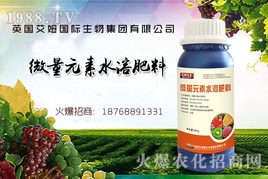 鐵、鋅、硼缺失癥狀，怎么補(bǔ)充作物所需元素？