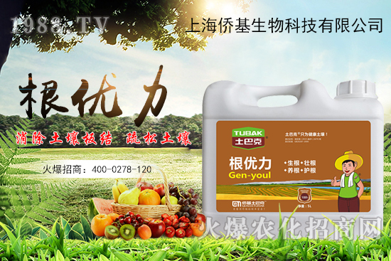 作物生根用什么肥？生根肥選擇有哪些？