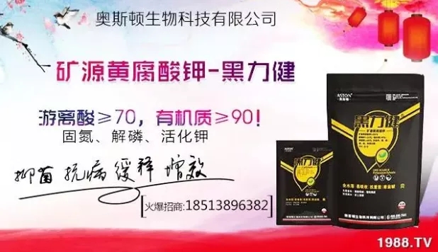 ����ʲô�r(sh��)�g���N��ע�����(xi��ng)����Щ�����ش���Nֲ�r(sh��)�g����