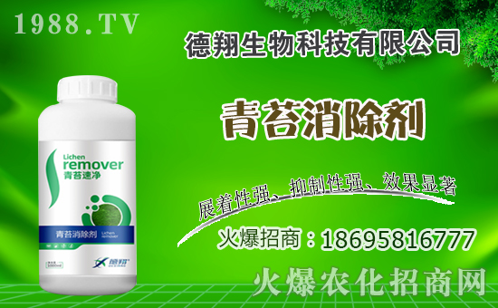 �Ͳ�ʲô�r�g�Nֲ���Ͳ˷Nֲ������ʲô������Щע�������