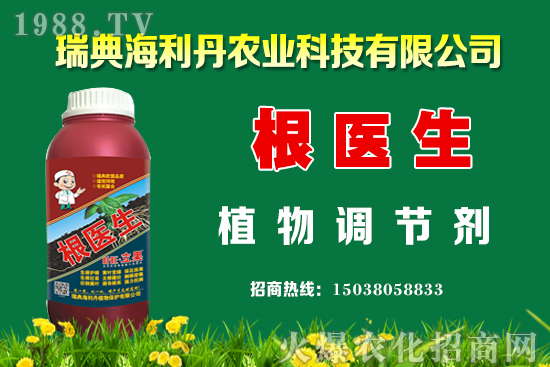 油菜怎么管理能提高產(chǎn)量？油菜抗寒防凍措施有哪些？