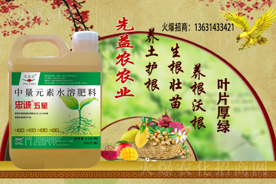 小麥價(jià)格多少錢一斤？今日小麥價(jià)格行情！