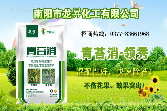 �󶹹�����(y��ng)�����r(ji��)����m(x��)�ϝq�����ش󶹃r(ji��)������