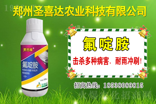 生姜播種方法有哪些？生姜可以和什么作物套種？