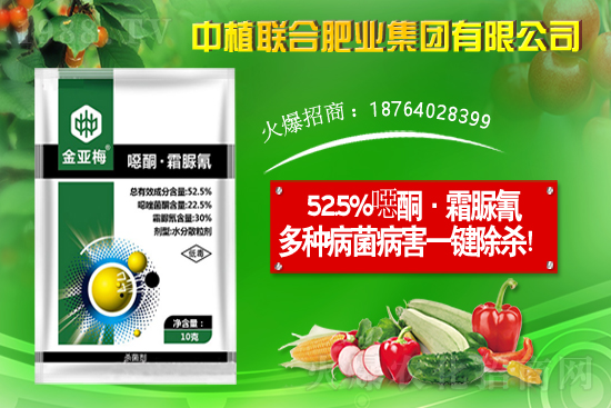 11月19日國內(nèi)部分產(chǎn)區(qū)花生價(jià)格