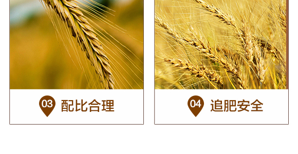 �׾S�����x��-���A����_06