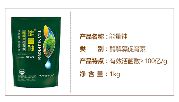 ø���������-������-�����S_02