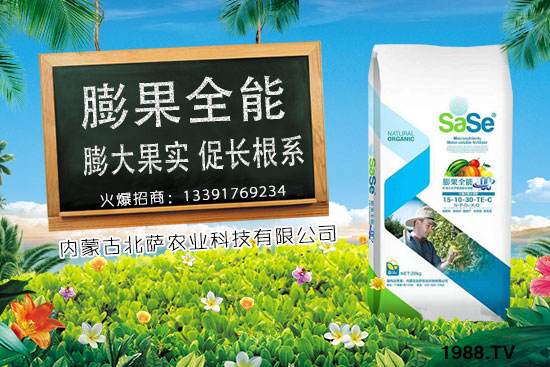 菜椒要怎么種植？菜椒生長條件及種植技術(shù)！