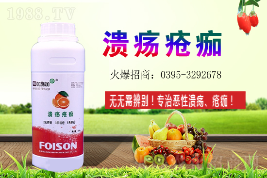 2021��ʯ��Nֲ������Σ�ʯ�������(r��n)ǰ����ô����